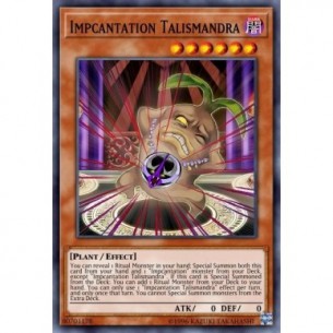 Impcantesimo Talismandra