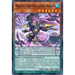 Nazuki il Ninja Vaylantz
