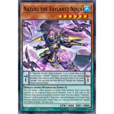 Nazuki il Ninja Vaylantz