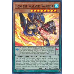 Hojo the Vaylantz Warrior