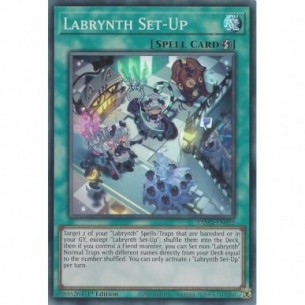 Labrynth Set-Up