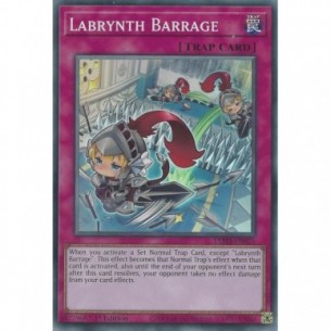 Labrynth Barrage