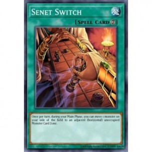 Senet Switch