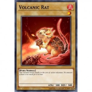Ratto Vulcanico