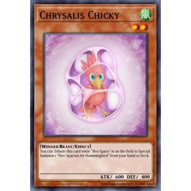 Chrysalis Chicky