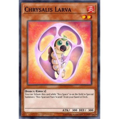 Larva Crisalide