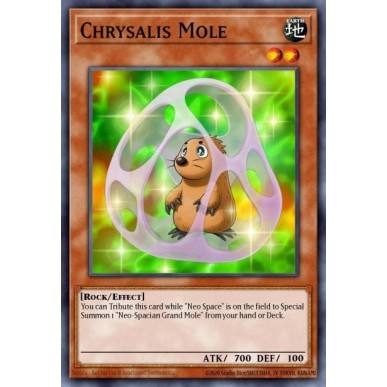 Chrysalis Mole