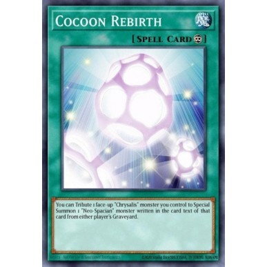 Rinascita del Bozzolo