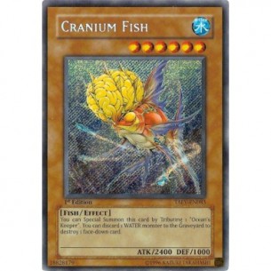 Pesce Cranio