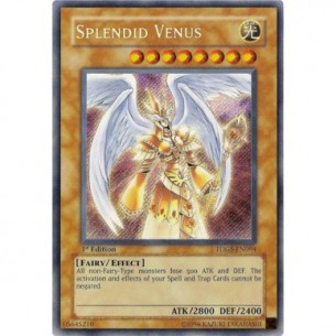 Venere Splendida