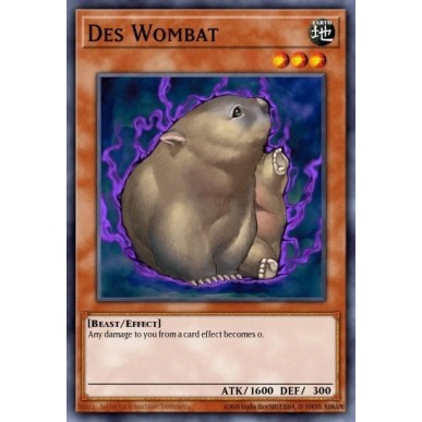 Des Wombat