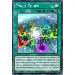 Cynet Codec