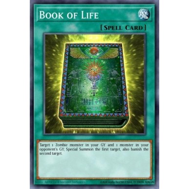 Libro della Vita