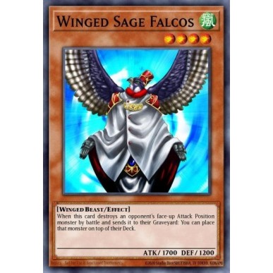 Winged Sage Falcos