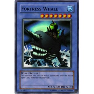 Balena Fortezza