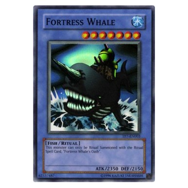 Fortress Whale