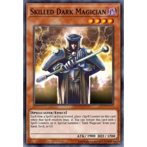 Skilled Dark Magician