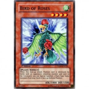 Uccello delle Rose