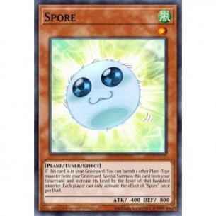 Spora