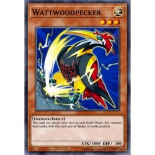 Wattpicchio
