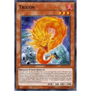 Trigon