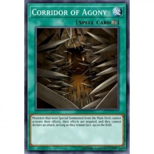 Corridoio dell'Agonia