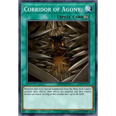 Corridoio dell'Agonia