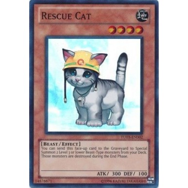 Rescue Cat