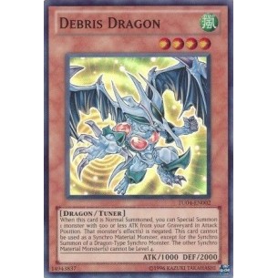 Debris Dragon