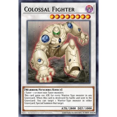 Colossal Fighter
