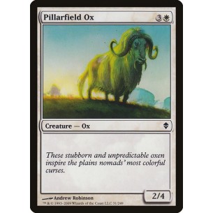Bue del Campo dei Pilastri