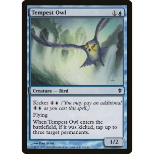 Gufo delle Tempeste