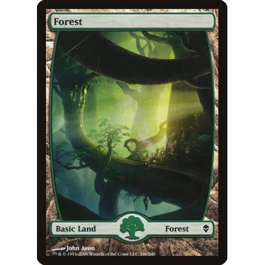 Forest