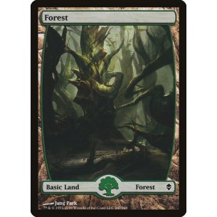 Forest