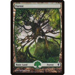 Forest
