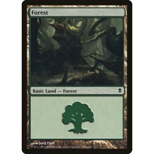 Forest