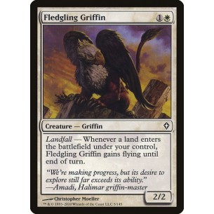 Fledgling Griffin