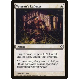 Riflessi del Veterano