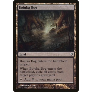 Acquitrino di Bojuka