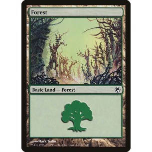 Foresta