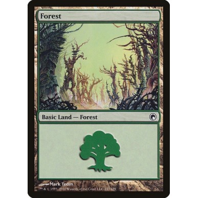 Foresta