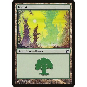 Foresta