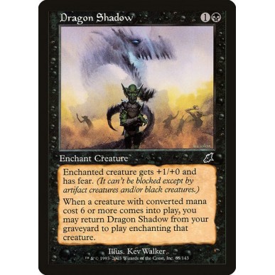 Dragon Shadow
