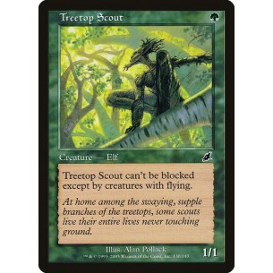 Scout Arboricolo