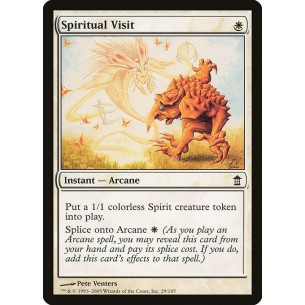 Visita Spirituale