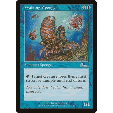 Walking Sponge
