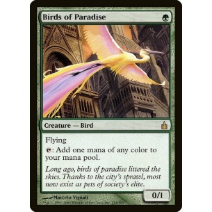 Uccelli del Paradiso
