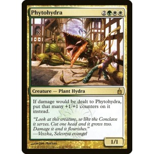 Phytoidra