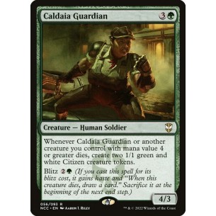 Caldaia Guardian