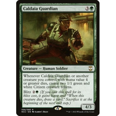 Caldaia Guardian